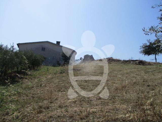Terreno venda em Soure, Coimbra