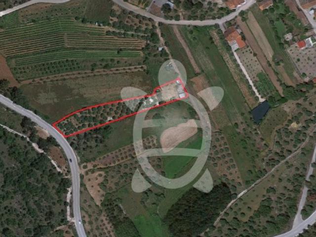 Terreno venda em Soure, Coimbra