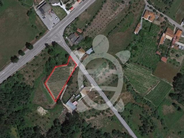 Terreno venda em Soure, Coimbra