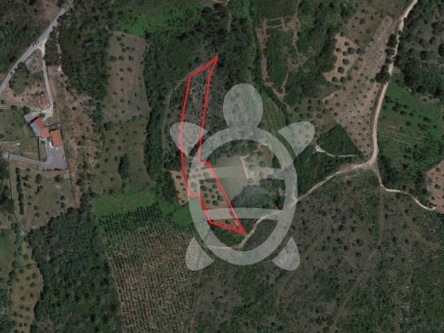 Terreno venda em Soure, Coimbra