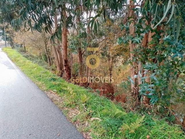 Terreno venda em Souselo, Viseu