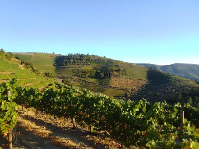 Terreno venda em Nagoselo Do Douro, Viseu