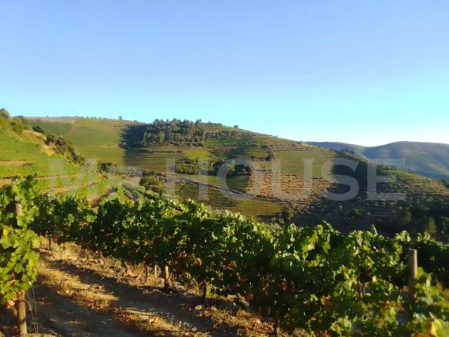 Terreno venda em Nagoselo Do Douro, Viseu
