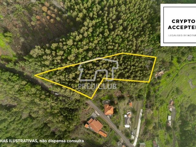 Terreno venda em Santa Cruz