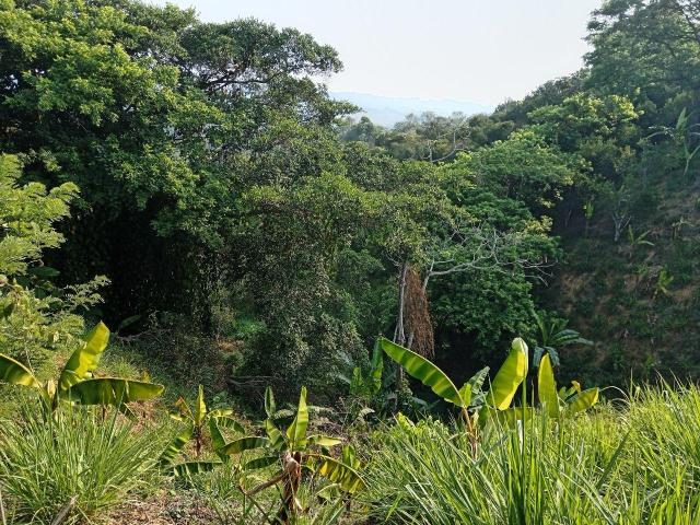 Terreno en venta en Tlapacoyan, Veracruz