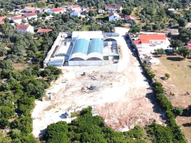 Terreno alugar em Santarém, Valverde