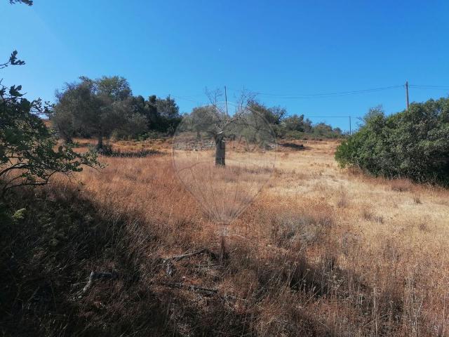 Terreno venda em Algoz, Faro