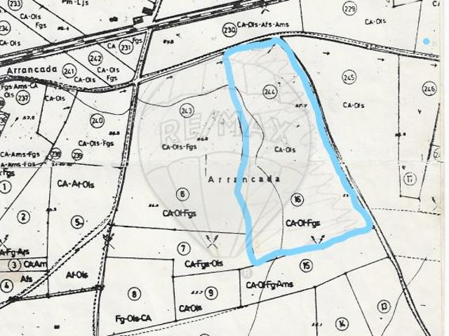 Terreno venda em Várzeas do Poço da Figueira, Tunes