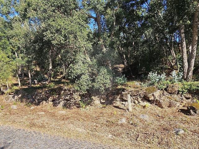 Terreno venda em Várzea, Porto