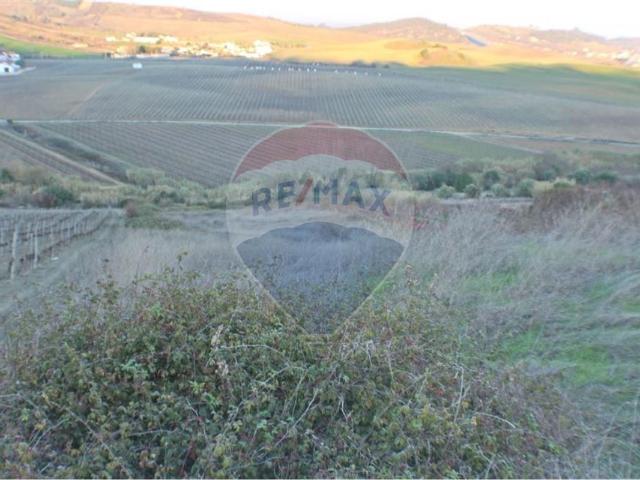 Terreno venda em Arruda Dos Vinhos, Malafaia