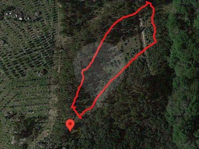 Terreno venda em Ponte De Lima, Sorro Terreno venda em Ponte De Lima, Sorro