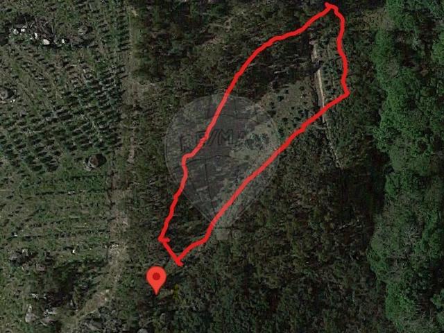 Terreno venda em Sorro, Boalhosa