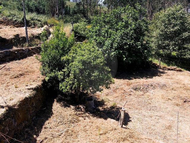 Terreno venda em Favões, São Lourenço Do Douro
