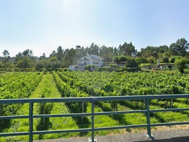 Terreno venda em Favões, São Lourenço Do Douro