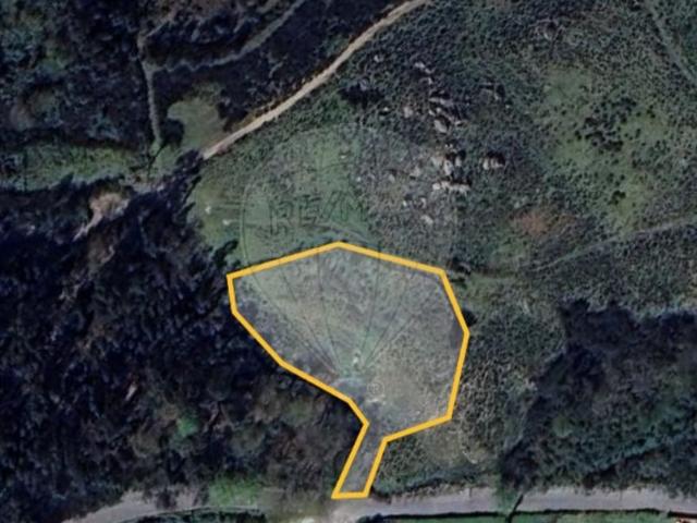 Terreno venda em Grovelas São João Evangelista, Viana Do Castelo