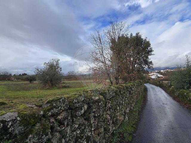 Terreno venda em Castelo Branco, Caria