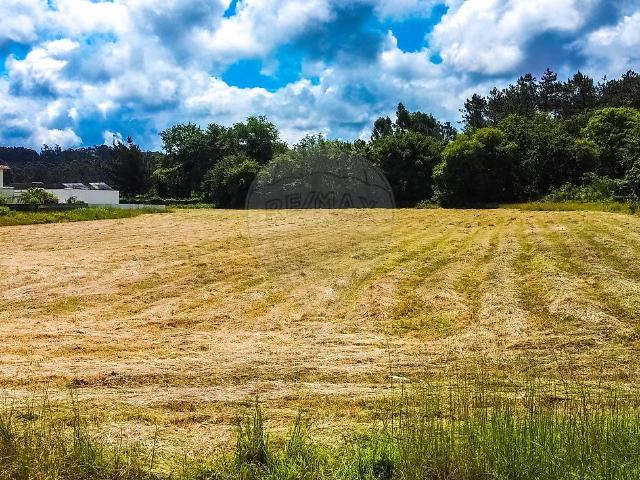 Terreno venda em Viana Do Castelo