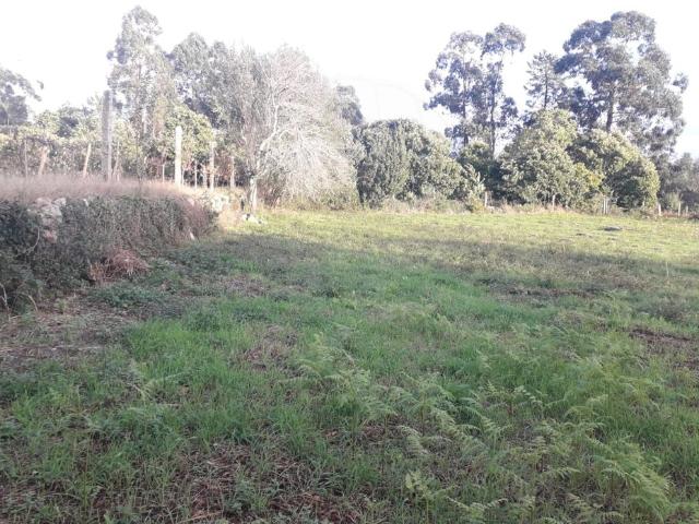 Terreno venda em Ponte De Lima, Friastelas Terreno venda em Ponte De Lima, Friastelas