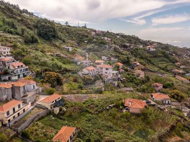 Terreno venda em Câmara De Lobos, Serrado