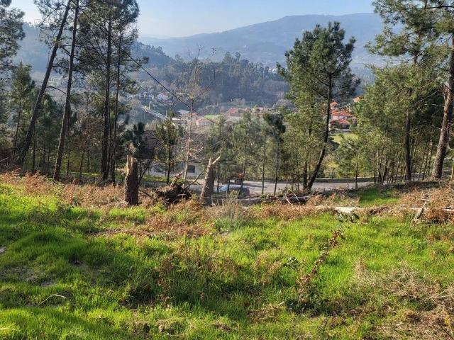 Terreno venda em Grovelas São João Evangelista, Viana Do Castelo