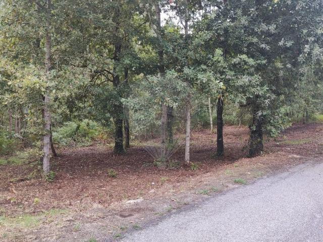 Terreno venda em Grovelas São João Evangelista, Viana Do Castelo
