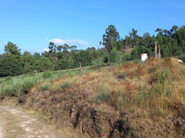 Terreno venda em Grovelas São João Evangelista, Viana Do Castelo