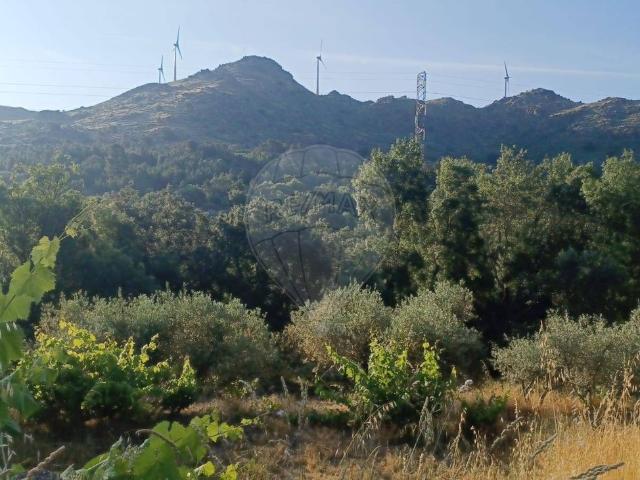 Terreno venda em Belmonte, Maçainhas