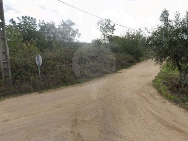 Terreno venda em Campo Maior Terreno venda em Campo Maior
