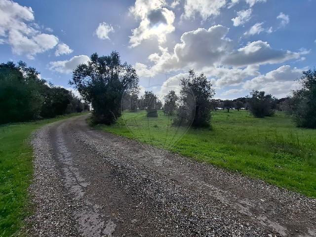 Terreno venda em Tomar, Santarém