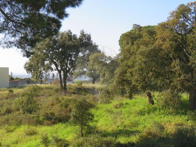 Terreno venda em Barreiro, Coina