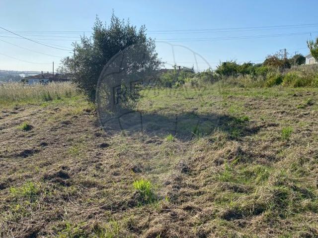 Terreno venda em Pombal, Pelariga