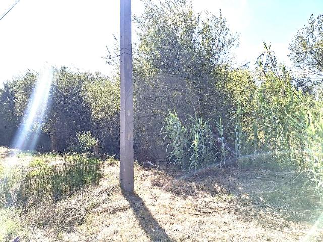 Terreno venda em Pombal, Pelariga