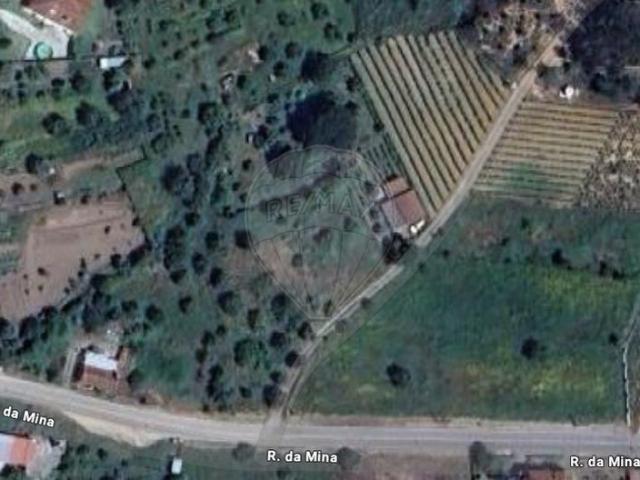 Terreno venda em Pombal, Pelariga