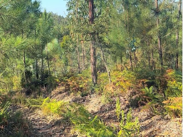 Terreno venda em Pombal, Leiria