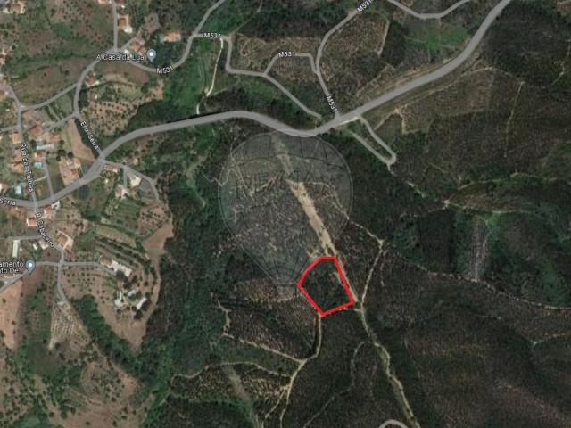 Terreno venda em Tomar, Vermoeiros Terreno venda em Tomar, Vermoeiros