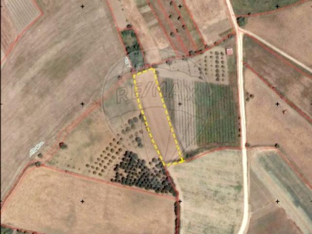 Terreno venda em Arruda Dos Vinhos, S. Tiago dos Velhos