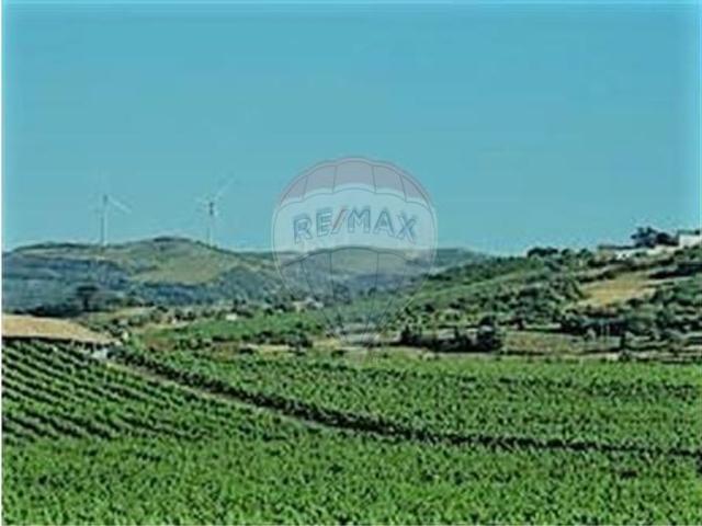 Terreno venda em Arruda Dos Vinhos, S. Tiago dos Velhos