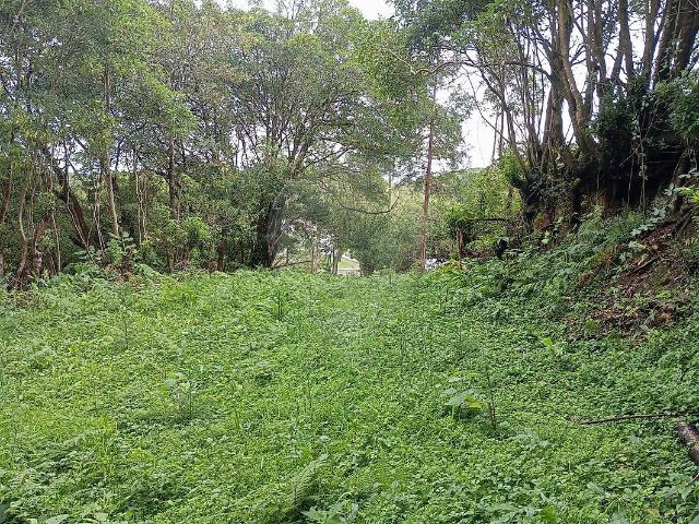 Terreno venda em Açores, Ilha De Santa Maria