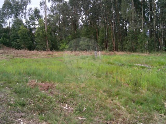 Terreno alugar em Paredes, Junqueira Terreno alugar em Paredes, Junqueira