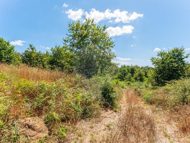 Terreno venda em Vila Verde, Braga