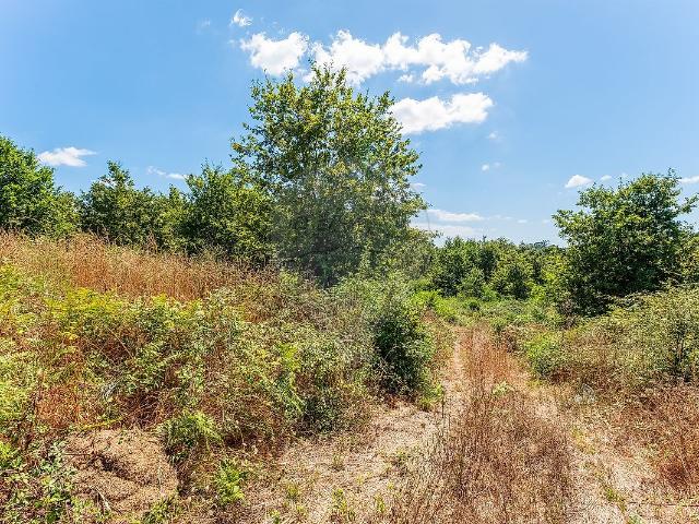 Terreno venda em Vila Verde, Braga