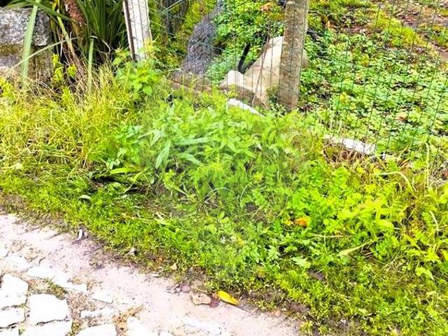 Terreno venda em Vila Boa Do Bispo, Porto