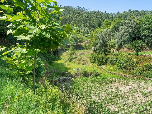 Terreno venda em Chouselas, Amares