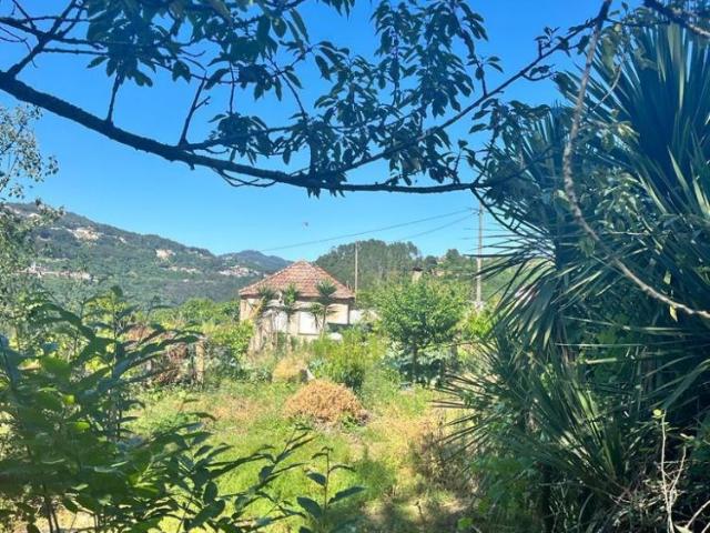 Terreno venda em Escamarão, Souselo