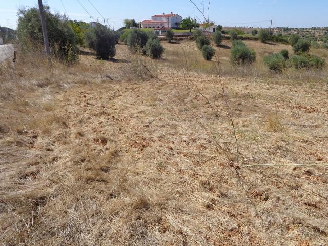 Terreno venda em Colégio Nuno Álvares, Tomar