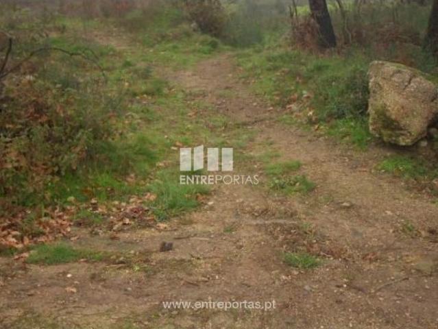 Terreno venda em Várzea do Douro, Várzea