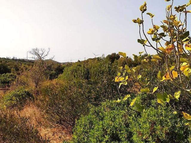 Terreno venda em Lagos, Faro