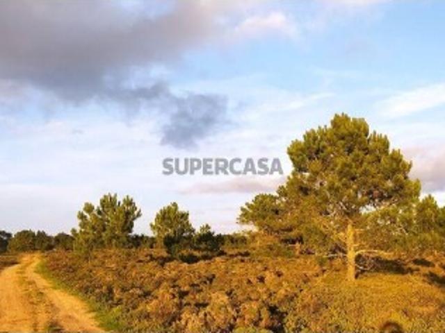 Terreno venda em Vila Do Bispo, Faro