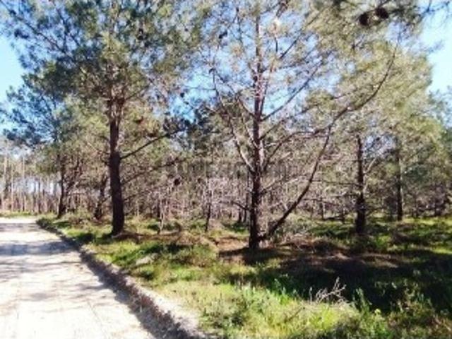 Terreno venda em Boxes, Vila Real