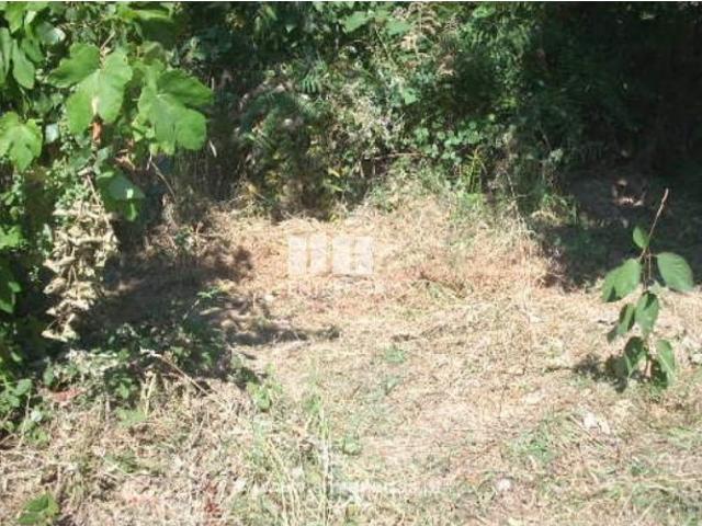 Terreno venda em Espadanedo, Viseu